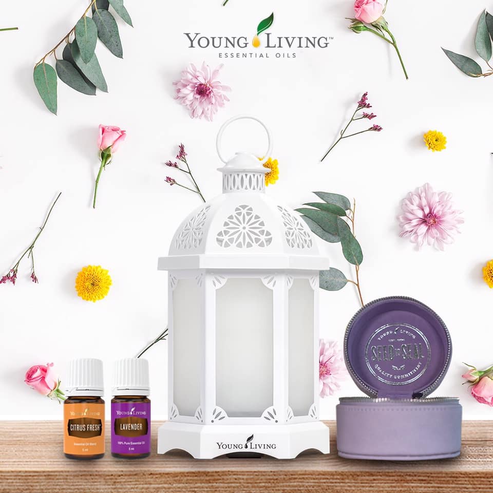 Lantern Diffuser Oil up